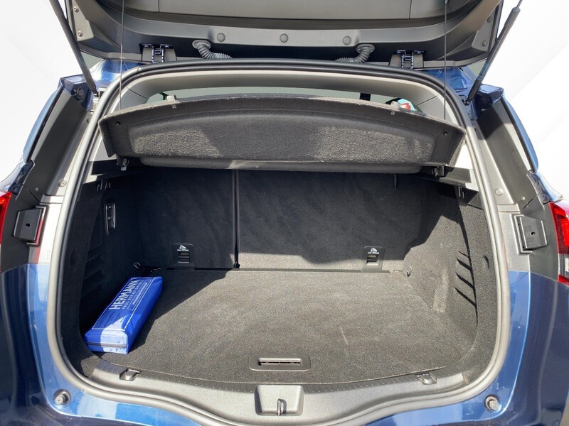Fahrzeugabbildung Scenic ABS Fahrerairbag ESP Bild 6 von 19