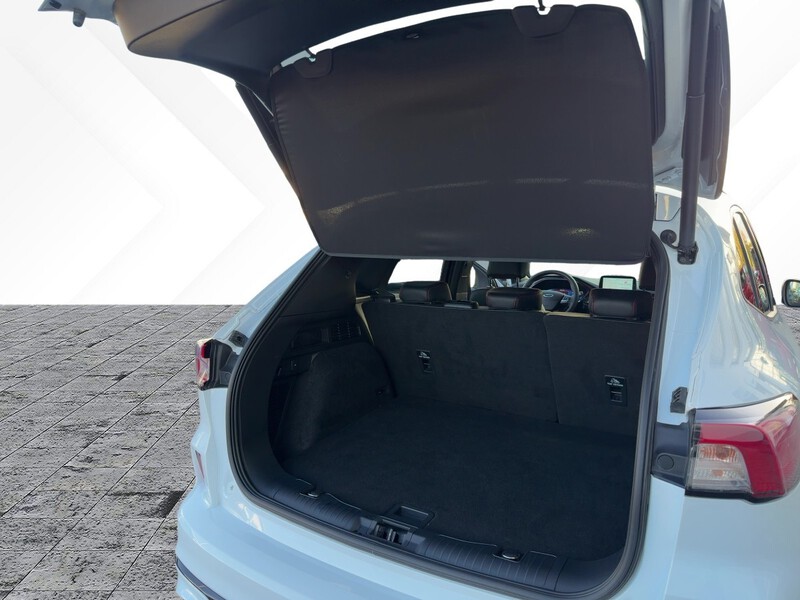 Fahrzeugabbildung Kuga ABS ESP Bild 6 von 21