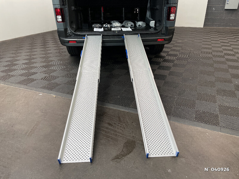 Renault Trafic Combi