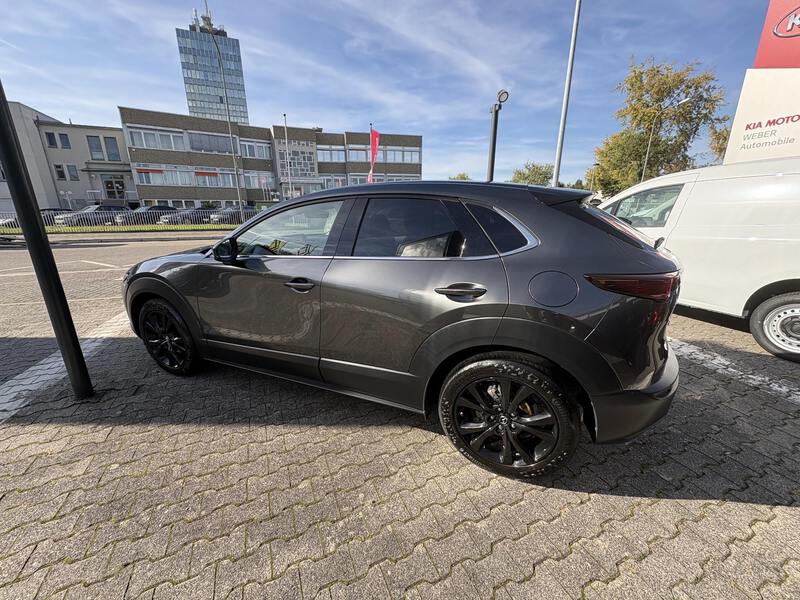 Fahrzeugabbildung CX-30 2.0 SKYACTIV-G M Hybrid 150 Homura 2WD Bild 7 von 18