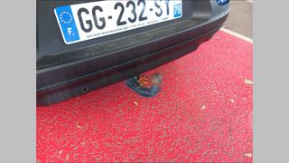 Vehicle 3D Image