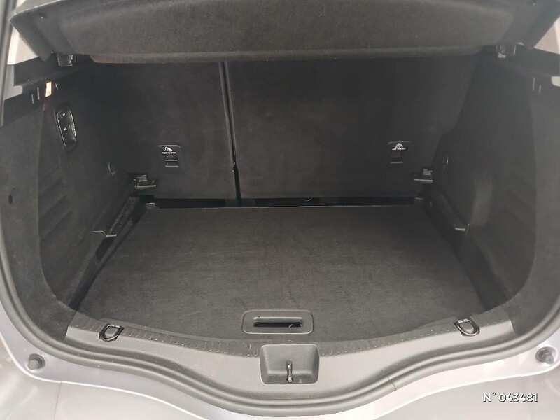 Renault Scenic IV