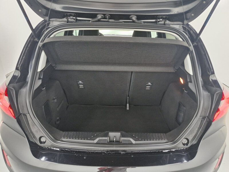 Fahrzeugabbildung Fiesta 1.0 EcoBoost MHEV Titanium Bild 9 von 27