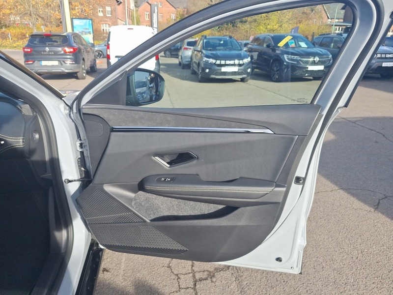 Fahrzeugabbildung Megane Navi Winter-Paket-RFK Bild 17 von 17
