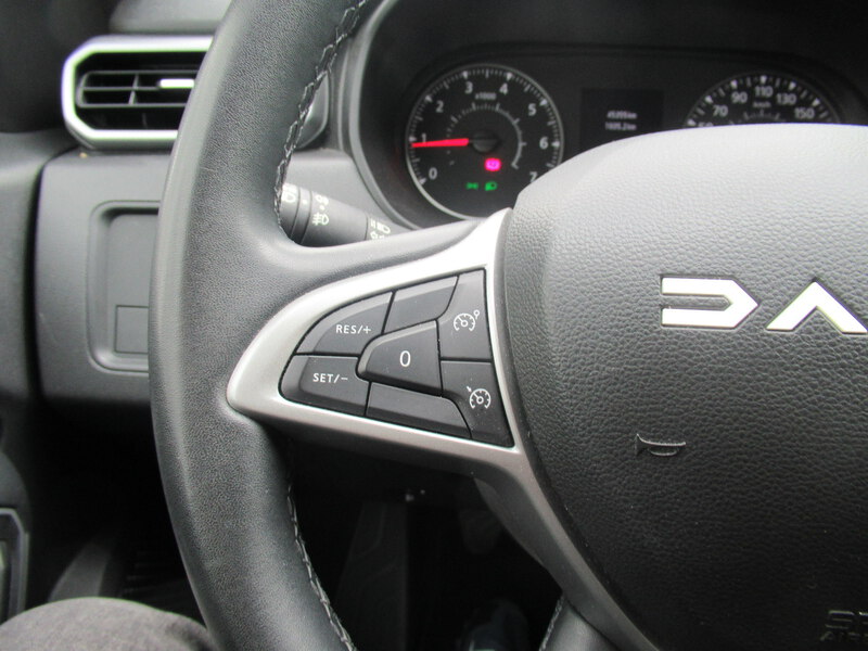 Fahrzeugabbildung Duster ABS Fahrerairbag SERVO Bild 29 von 30