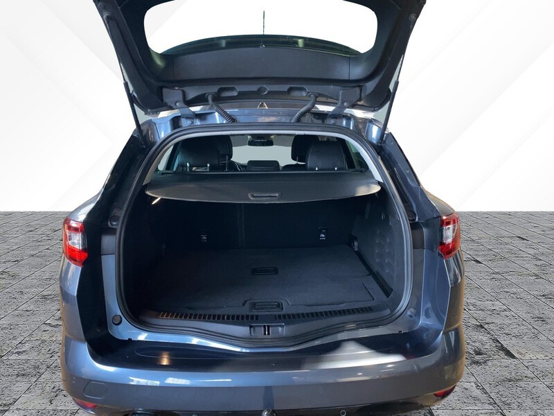 Fahrzeugabbildung Megane ABS BT Bild 6 von 20