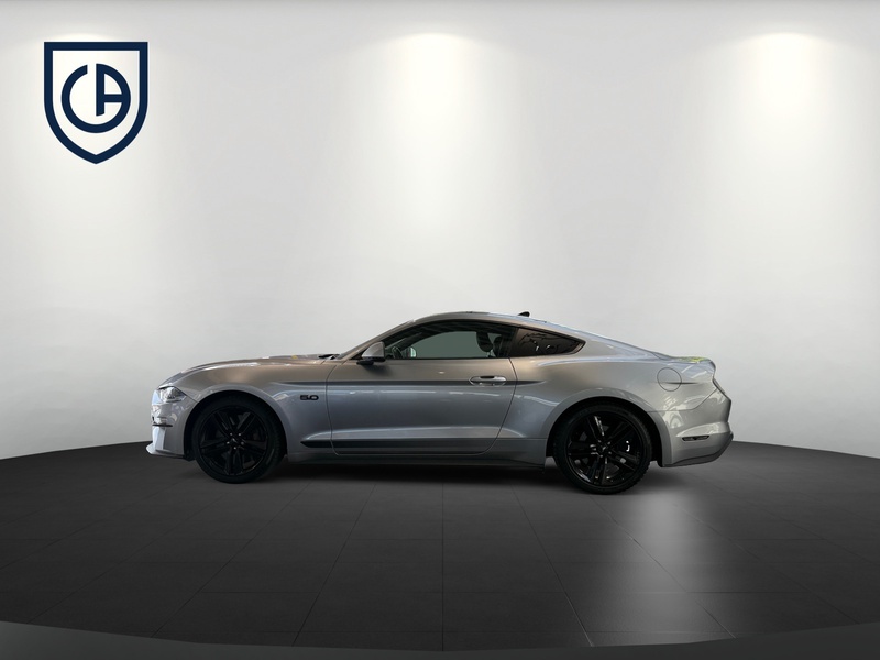 Fahrzeugabbildung Mustang Standhzg Bild 5 von 17