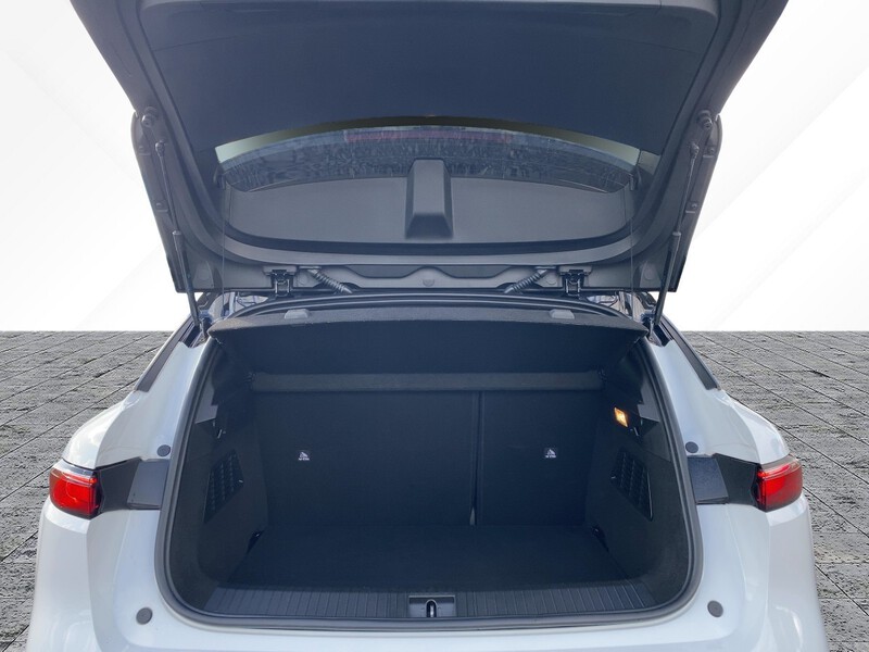 Fahrzeugabbildung Megane E-TECH Iconic 100% elektrisch 218PS Bild 6 von 19
