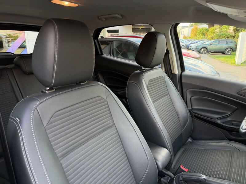 Fahrzeugabbildung EcoSport PDC Rückfahrkamera Bild 13 von 20