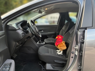 Vehicle 3D Image