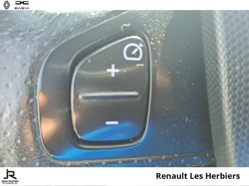 Renault ZOE E-Tech Electrique