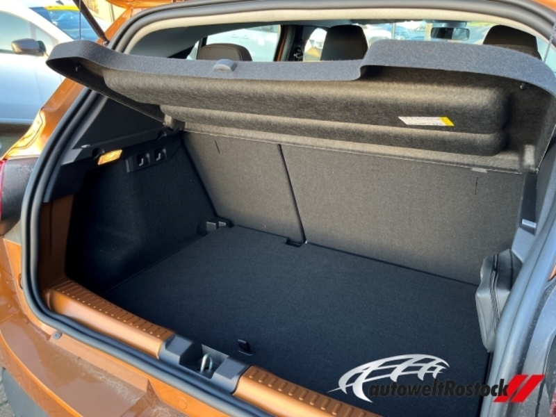 Fahrzeugabbildung Sandero Stepway Comfort TCe 100 ECO-G Bild 8 von 15