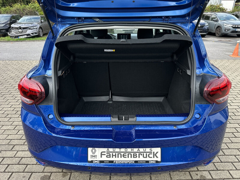 Fahrzeugabbildung Sandero Scheckheft Bild 9 von 14