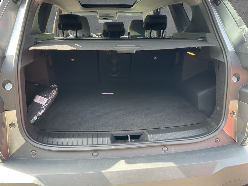 Fahrzeugabbildung Bigster Extreme hybrid 155 Bild 12 von 13