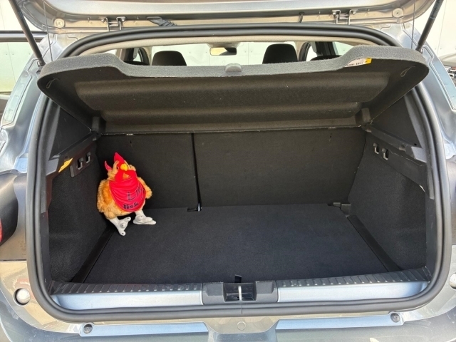 Dacia Sandero – Bild 12