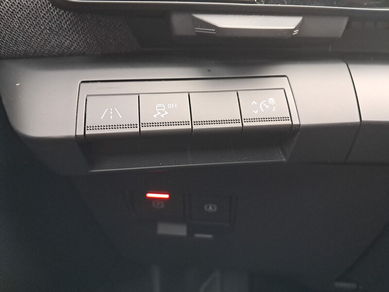 Fahrzeugabbildung Megane E-TECH SHZ RFK Bild 14 von 18