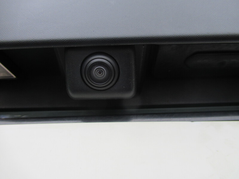 Fahrzeugabbildung Duster ABS Fahrerairbag SERVO Bild 19 von 30