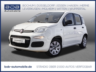 New Panda
