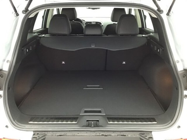 Exterieur Kadjar  zilver