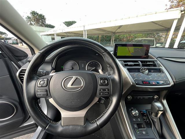 LEXUS NX I 2018 02640864_VO38043366