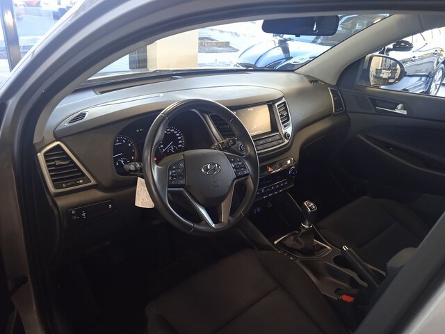 Inside Tucson  Olivine Grey