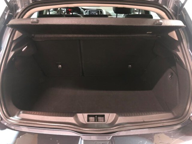 Exterieur Megane  grijs