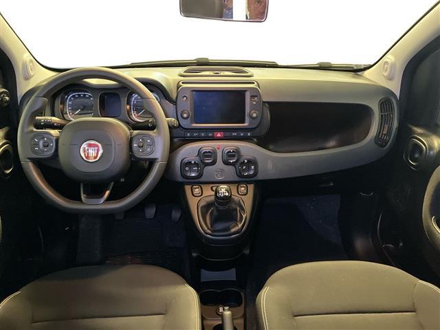 FIAT Panda III 2021 Cross 00985435_VO38023207