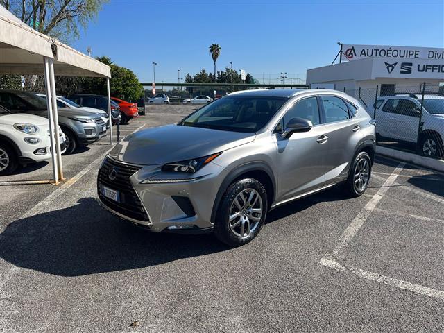 LEXUS NX I 2018 02640154_VO38043366