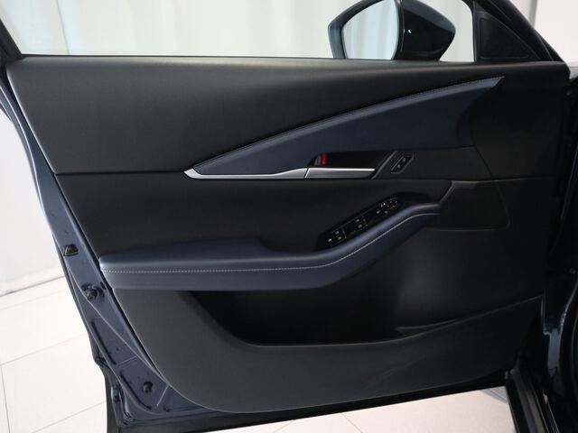 Inside CX-30  AZUL