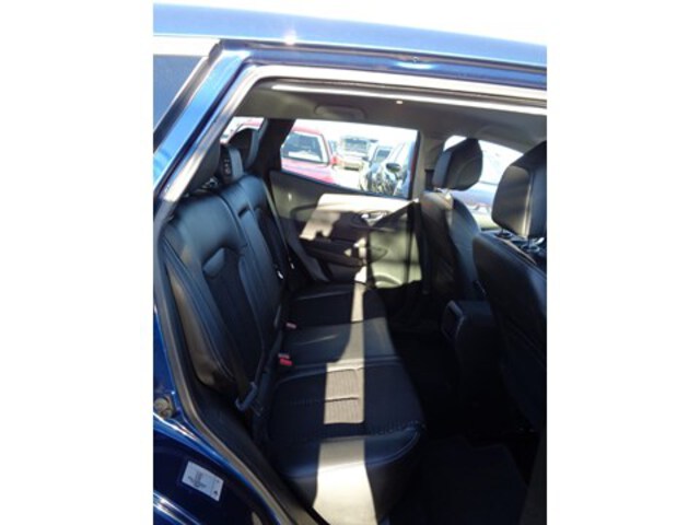 Exterieur Kadjar  blauw