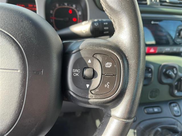 FIAT Panda 4x4 02640862_VO38043366