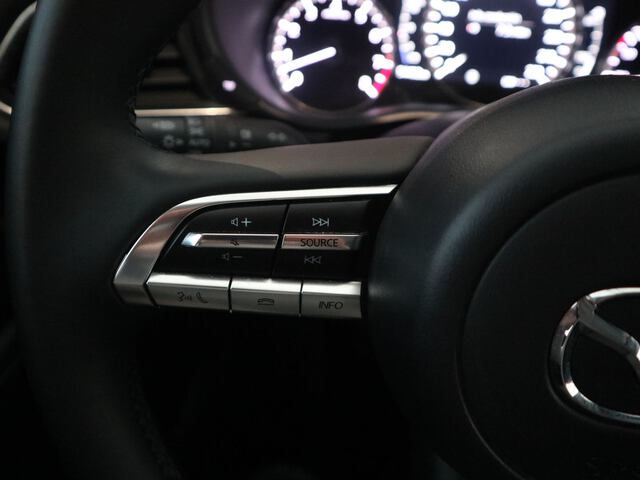 Inside CX-30  GRIS