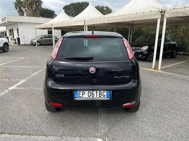 FIAT Punto 02640108_VO38043366