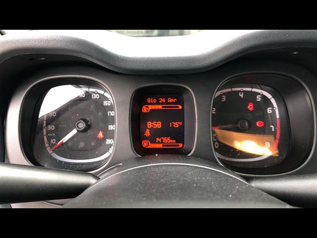 FIAT Panda III 2021 03450499_VO38013139