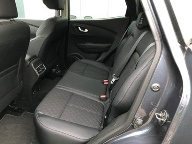 Exterieur Kadjar  grijs