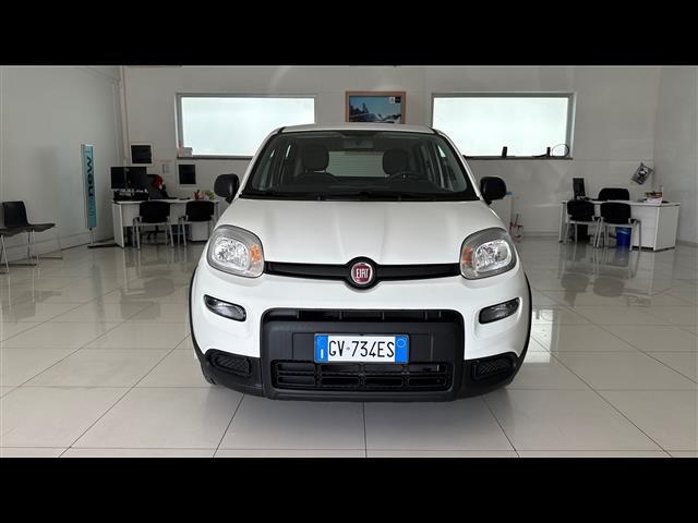 FIAT Panda III 2021 04998182_VO38013058