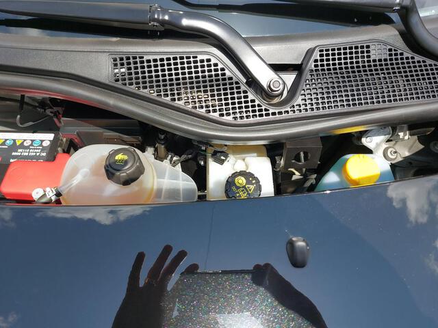 Außenausstattung Twingo Black-Pearl          schwarz
