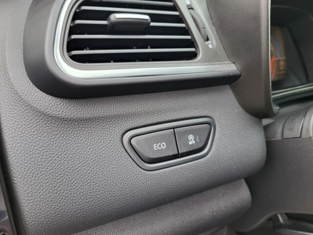 Exterieur Kadjar  grijs