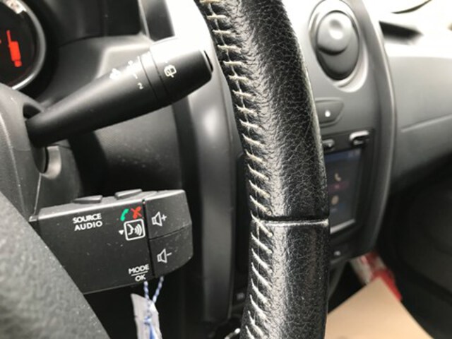 Extérieur Duster  gris