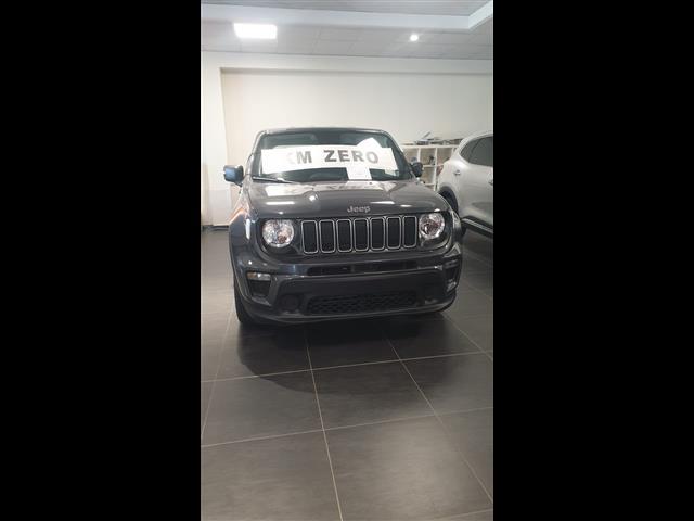 JEEP Renegade 00024209_VO38013404