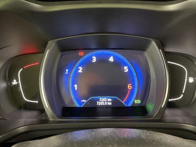 Inside Kadjar  Blanco Nacarado