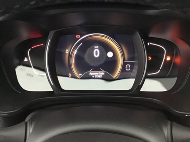 Exterieur Kadjar  blauw