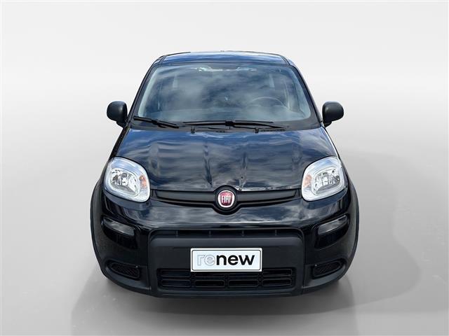 FIAT Panda III 2021 01515405_VO38053436