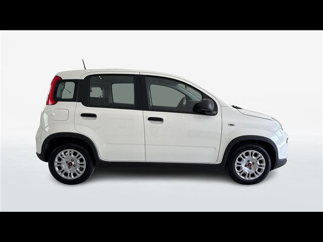 FIAT Panda III 2021 04998182_VO38013058