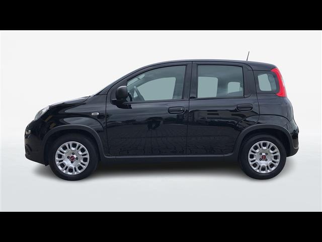 FIAT Panda III 2021 03450499_VO38013139
