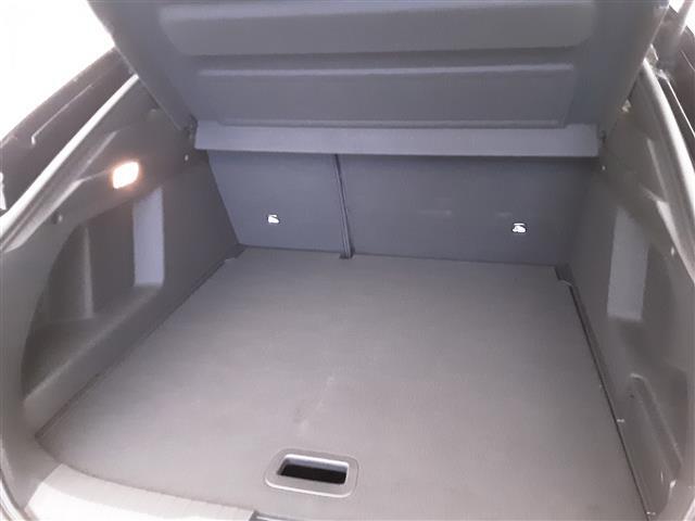 RENAULT Arkana 04599639_VO38013034