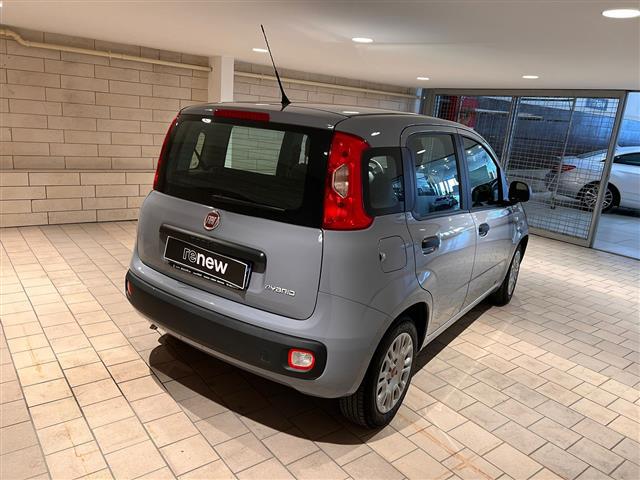 FIAT Panda III 2021 01247122_VO38013065