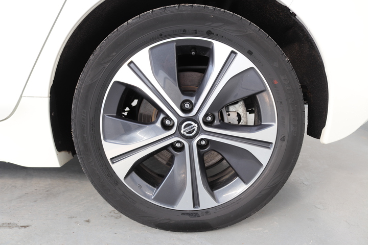 Exterior LEAF  ALB
