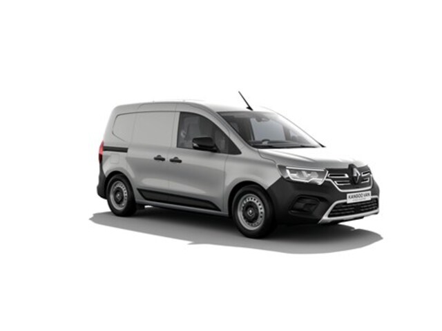 Exterieur Kangoo  zilver