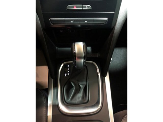 Exterieur Megane  grijs